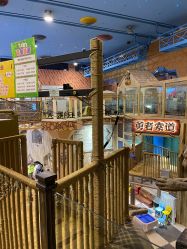 -卡通尼·Safari非洲探索乐园·生日会(金桥国际商业广场店)