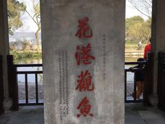 -西湖外事游船(花港观鱼码头)