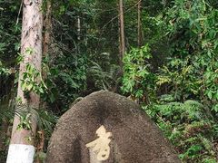 -玉树公园