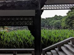-荔湾湖公园