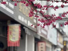 -歙县张记渔梁石头粿(渔梁住保小区店)