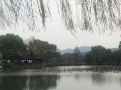 -西湖游船