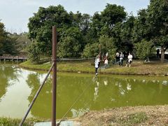 -森波拉奇妙世界