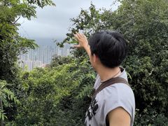 -狮子山郊野公园