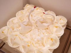 天使之爱-BLACKSWAN黑天鹅(环球店)