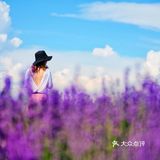 新疆的春天到底有多美