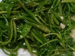 android_upload_pic-苍洱春饭店