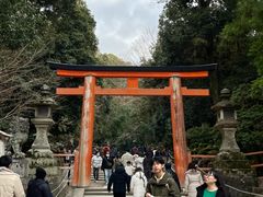-奈良公园