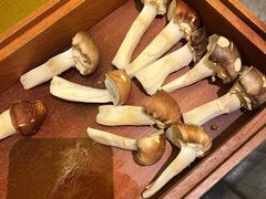 -二刀潮牛(重庆光环购物公园店)