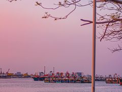 -先锋海鲜市场