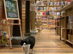 -猫的天空之城概念书店(杭州南宋御街店)