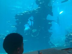 -海棠湾洲际-涛·海底餐厅·美人鱼·自助餐·海底隧道