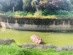 -南昌动物园