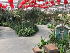 -南宫五洲植物乐园