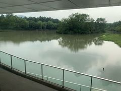 -中国湿地博物馆