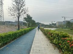 -长洲岛