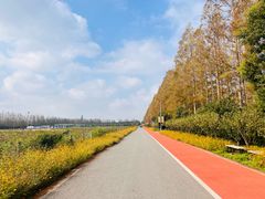 -上海长兴岛郊野公园