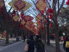 -地坛公园
