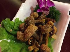 -鼎尊锅物料理(五角场店)