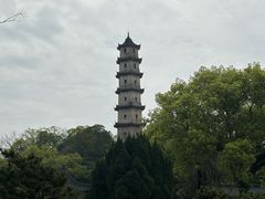 -江心屿景区