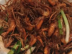 -老头儿油爆虾(星光一期店)