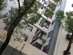 -水围村