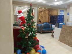 -碧莲盛·不剃发植发