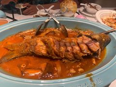 -阿五黄河大鲤鱼(英协路店)