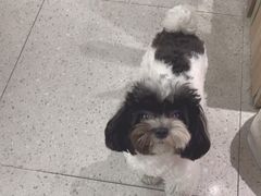 -FAELING PETS美天灵宠物(富力广场店)