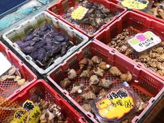 -德兴海鲜渔港(辉煌大厦店)