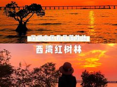 -宝安西湾红树林湿地公园