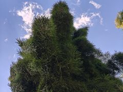 -湖泉半山温泉(湖泉生态园)