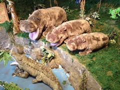 -济州岛泰迪熊博物馆