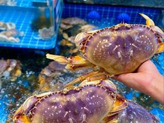 -海月轩海鲜豆捞(紫金塔店)