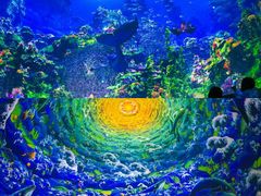 -海合安武汉极地海洋公园