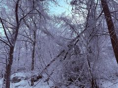 -崂山巨峰游览区