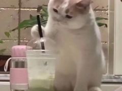 -萨莉亚意式餐厅(南京万达茂店)