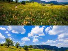 -照金香山旅游景区