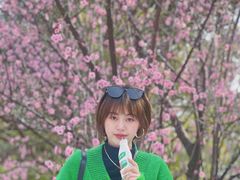 -秀丽东方