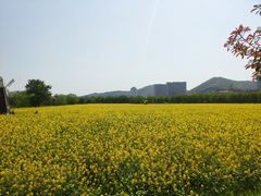 -长兴太湖图影湿地文化园