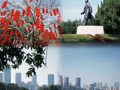 -莲花山公园