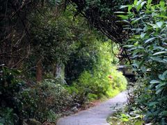 -水濂山森林公园
