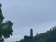 -南沙蒲洲花园