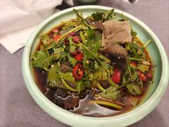 凉拌黑毛肚-金哥私房菜馆(张府园总店)