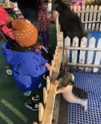 -萌宠亲子动物乐园(槐房万达店)