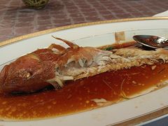 -新光酒家·河豚·海鲜·蟹料理(浦东店)