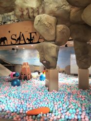 -卡通尼·Safari非洲探索乐园·生日会(金桥国际商业广场店)