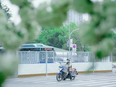 -大龙山(地铁站)