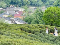 -十里琅珰