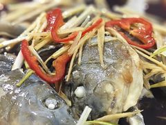 -煲来饱去冷水鱼